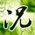 一比一原版圣保罗大学文凭【degxx.com】